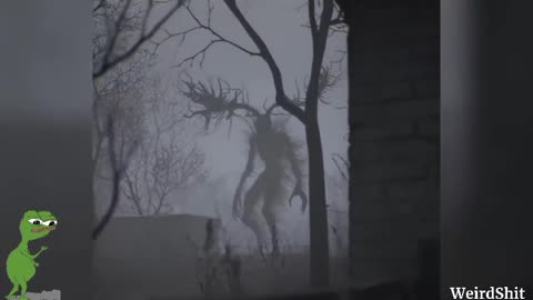 TERRIFYING WENDIGO~A MYSTERIOUS GIANT WITH HORNS WAS FILMED ON A FOGGY NIGHT IN 2008