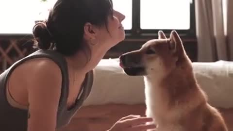 Cute Dog Kissing a Girl #shorts