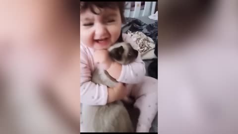 Laugh Out Loud: Hilarious Videos of Cats and Dogs that Will Make Your Day!