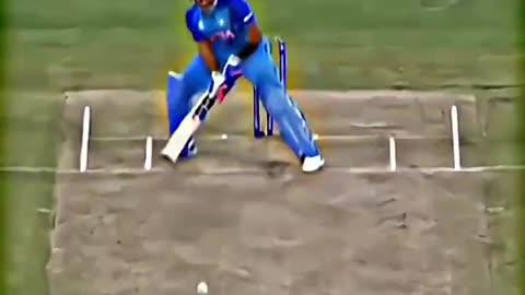 Cricket shot videos