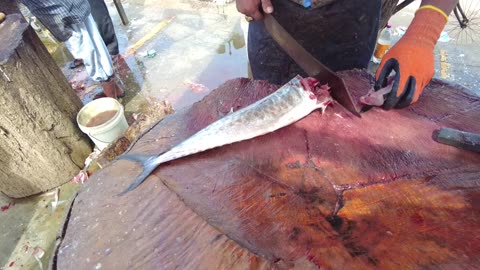 Amazing Seer Fish Slicing _ Fish Cutting Skills