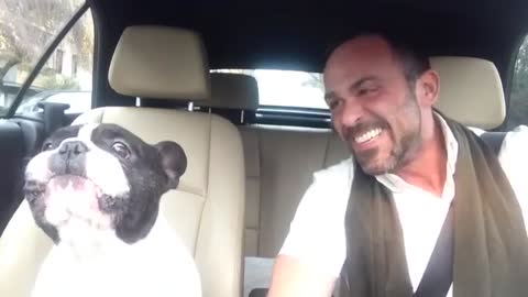 Singing Frenchie Is Back For Another Duet With His Owner