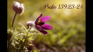 Psalm 139:23-24, FreeScriptureSongs - Helping Adults Memorize Scripture Through Song