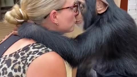 Look at what a monkey does to a woman