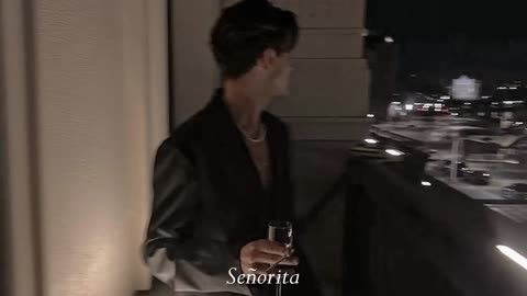 Señorita--slowed and reverb shawn mendes camila cabello slowed reverb edit senorita