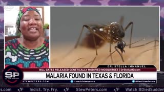 Bill Gates’ GENETICALLY MODIFIED Mosquitoes Causes Malaria Outbreak? MSM Claims It’s A Coincidence