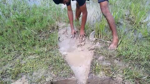 Amazing Hole Fish Trap- Smart Boy Build Fish Trap By Muddy soil ..