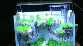 Mini aquarium DIY landscaping