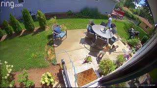 Toddler With a Hose vs Mom