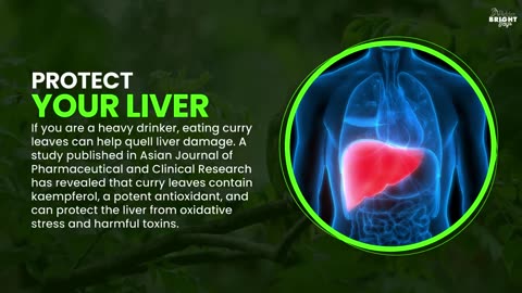 Amazing Benefits of Curry Leaves- this is why you should add to your daily meals