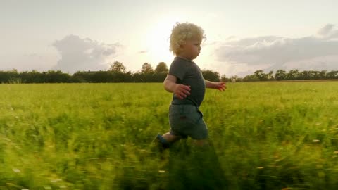 Young boy walking through a field