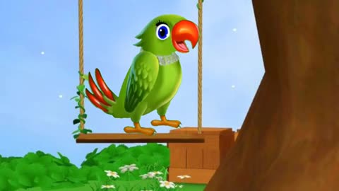 Animation video|birds video|Animals video