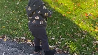 Baby Sister Screams in Excitement to See Brother Return from School