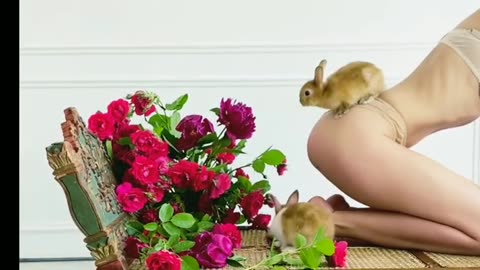 Funny Rabbit playing with Hot girl