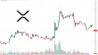 XRP price prediction as Ripple publishes new report What's going on?
