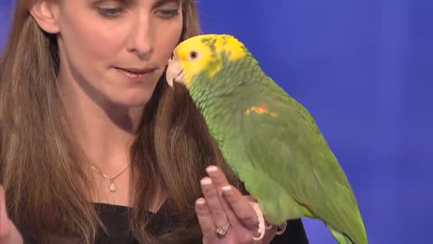 Echo the talking bird from Animal Gardens - America's Got Talent Audition - Season 6