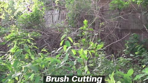 The Best Brush Cutting Rohrersville Maryland Brush Removal