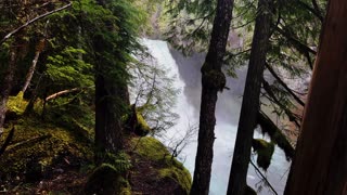 BITE-SIZED WILDS | Koosah Falls & McKenzie River From a Hidden Forest Perspective! | Oregon | 4K