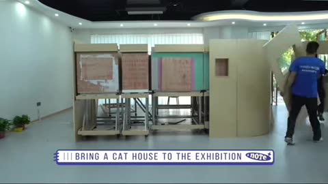 Bring a cat house to the exhibition