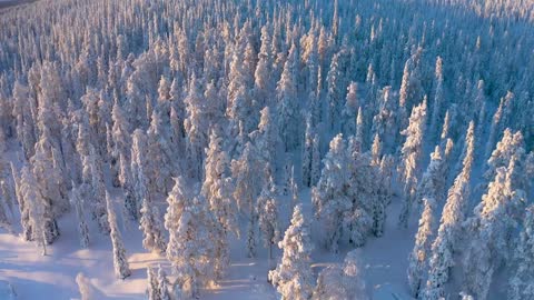 Riisitunturi in Lapland Finland_ beautiful winter landscapes of national park in Posio by drone