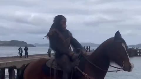 🔥🚨DEVELOPING: Costumed apes have been seen riding horses Golden State Bridge.