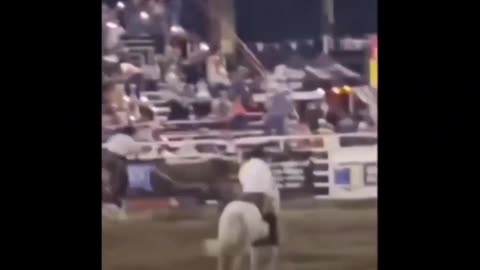 Bull jumps into crowd during rodeo in Oregon