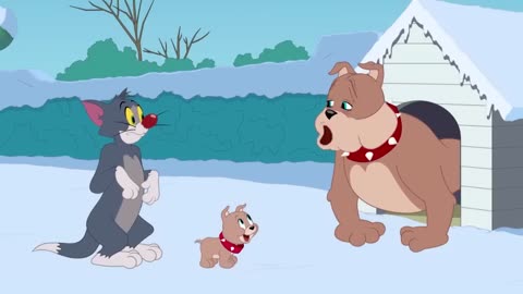 Kıymık Tom ve Jerry Şov Boomerang
