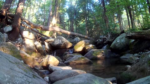Rainbow Falls Creek at Sunset - Gatlinburg TN - June 2020