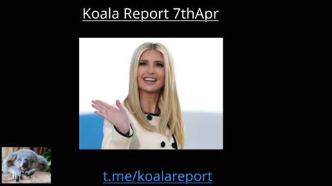 Koala Report on Ivanka Trump April 7th 2022