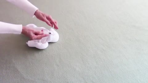 How to Make Towel Animal - Dove [Bird] | Towel art |Towel folding | Towel origami swan - duck |