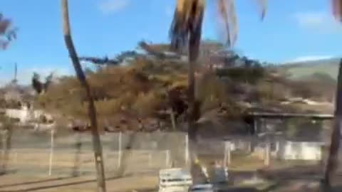 Inside Lahaina Maui today 22 of August, exclusive footage obtained by us