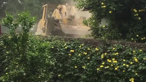 Neighbor's Domicile Gets Demolished
