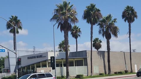 Getting buzzed on a Sunday morning off Anaheim St and Gardenia Ave