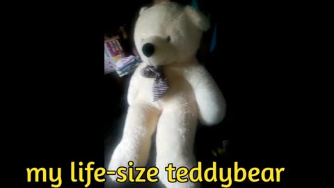 my lifesize teddybear