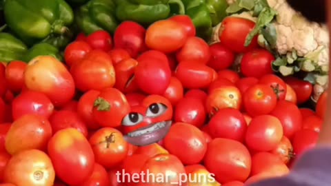 Tomato nowadays 🤣🤣