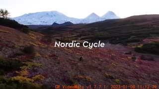 Nordic Cycle Bicycle Adventures in the North