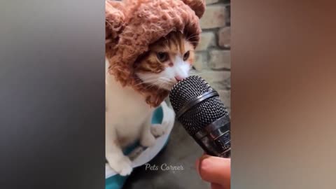 Funny Animal Videos 2023 🥰 - Funniest Dogs and Cats Videos 😁