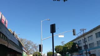 Helicopter in Circling around Los Angeles