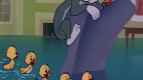 Tom and Jerry funny moments cartoon funny cartoons 😂😂🤣