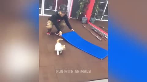 FUN WITH ANIMAL