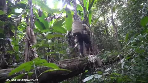 Vegitables harvesting