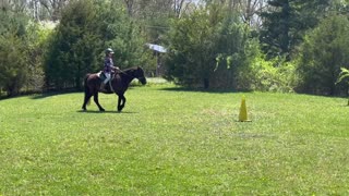 Gracelyn n’ Midnight Saddle