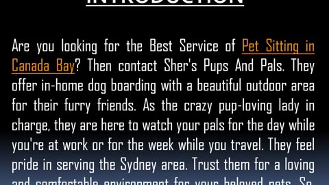 Best Service of Pet Sitting in Canada Bay