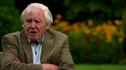 David Attenborough: 'We must act now on climate change'