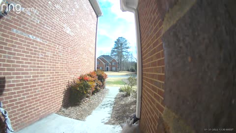 Random Blue Balloon Pays a Visit to Front Door