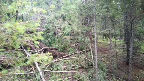 Tornado Damage