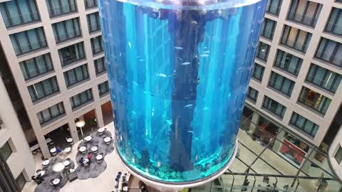 Aquarium im Radisson Blu Hotel (Berlin-Mitte)