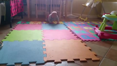 Cute Babies Crawling With Dogs Compilation Funy baby video