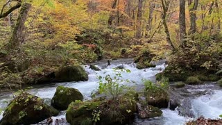 #WaterfallBeauty#NatureWonders#WaterfallMagic#ScenicViews#NaturePhotography#WaterfallAdventure#Japan