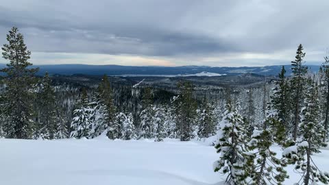 Panoramic of Deschutes National Forest – Central Oregon – Vista Butte Sno-Park – 4K